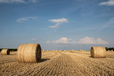 Seed trust, harvest added value