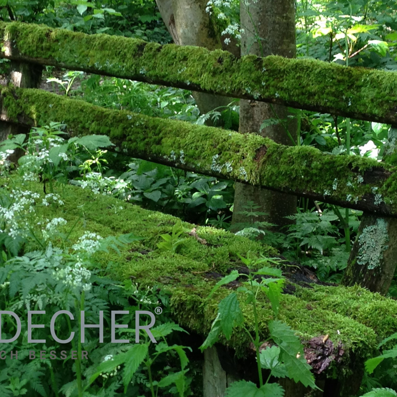 Operative Risiken - Dr. Decher - zertifizierter Umweltmanager für ...