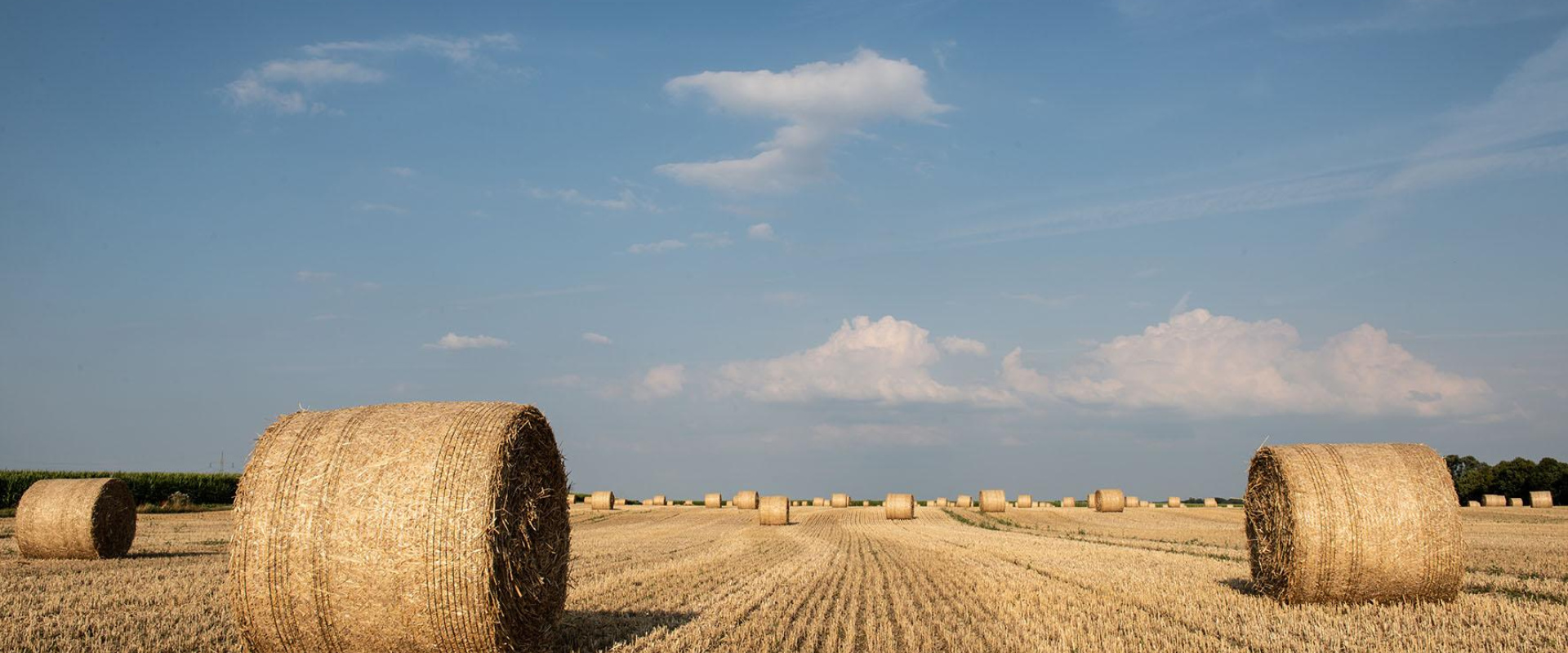 Seed trust, harvest added value